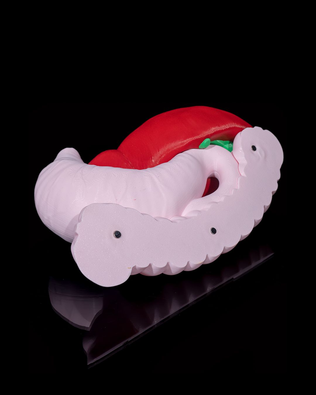 Anatomisk modell av fordøyelsessystemet - Bilde 8