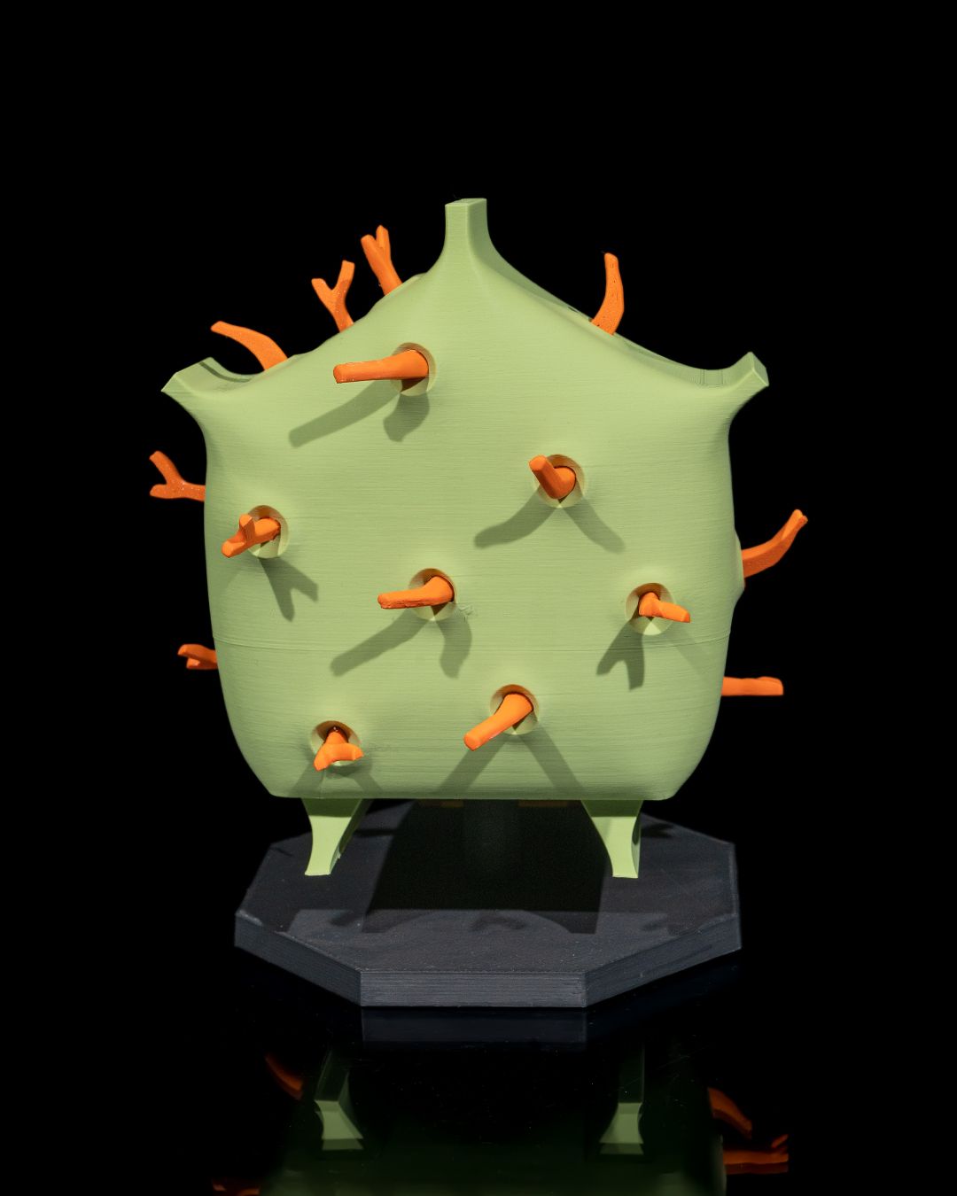 Plantecelle - Bilde 9