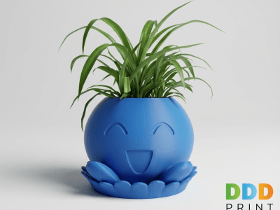 Oddish Potte