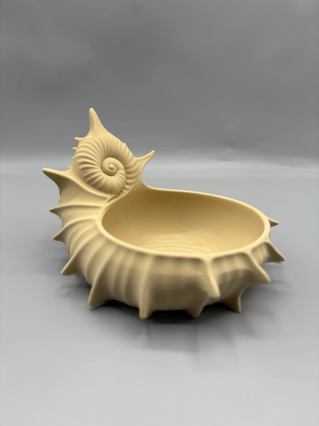 Spiralskjellskålen - Bilde 3