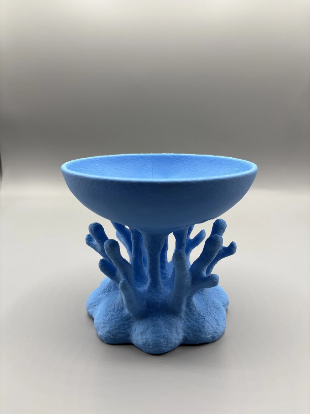 Korallrevskålen - Bilde 4