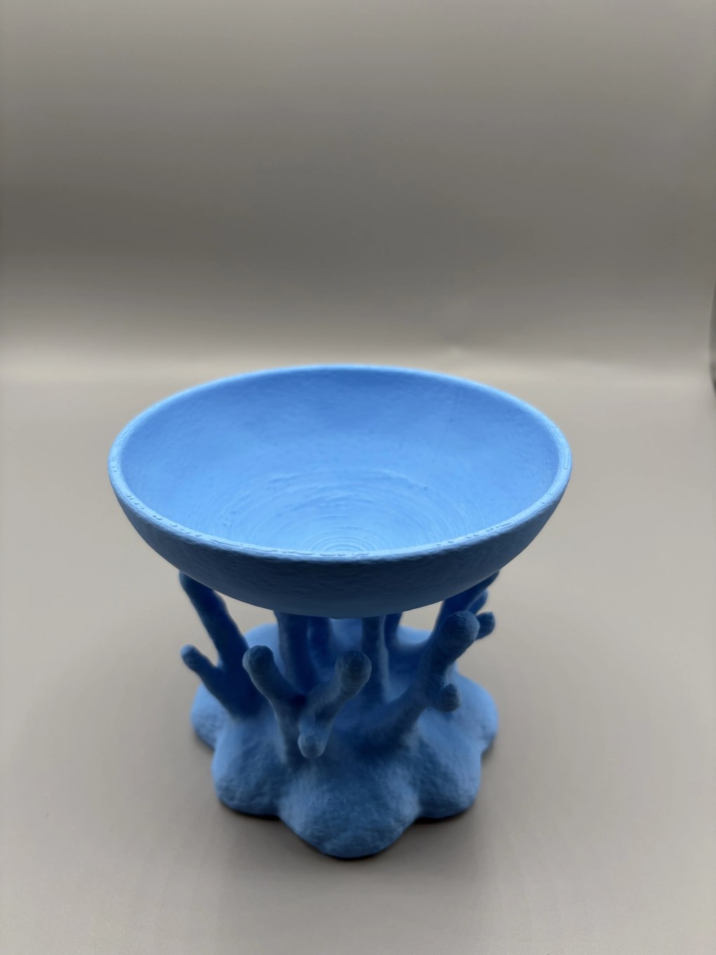 Korallrevskålen - Bilde 3