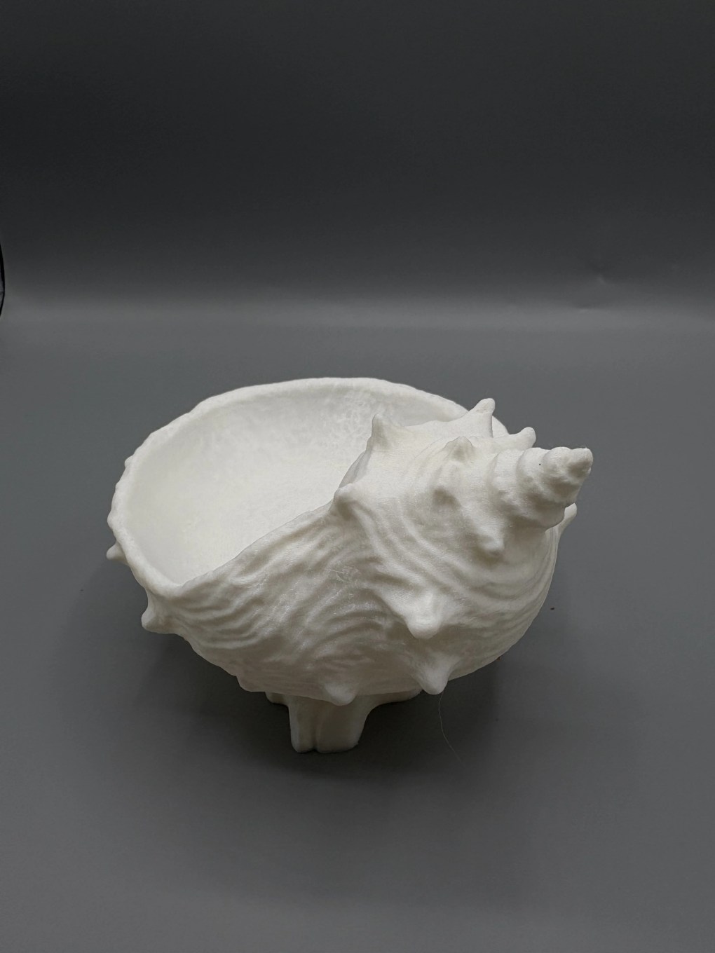 Kystkonkylen - Bilde 4