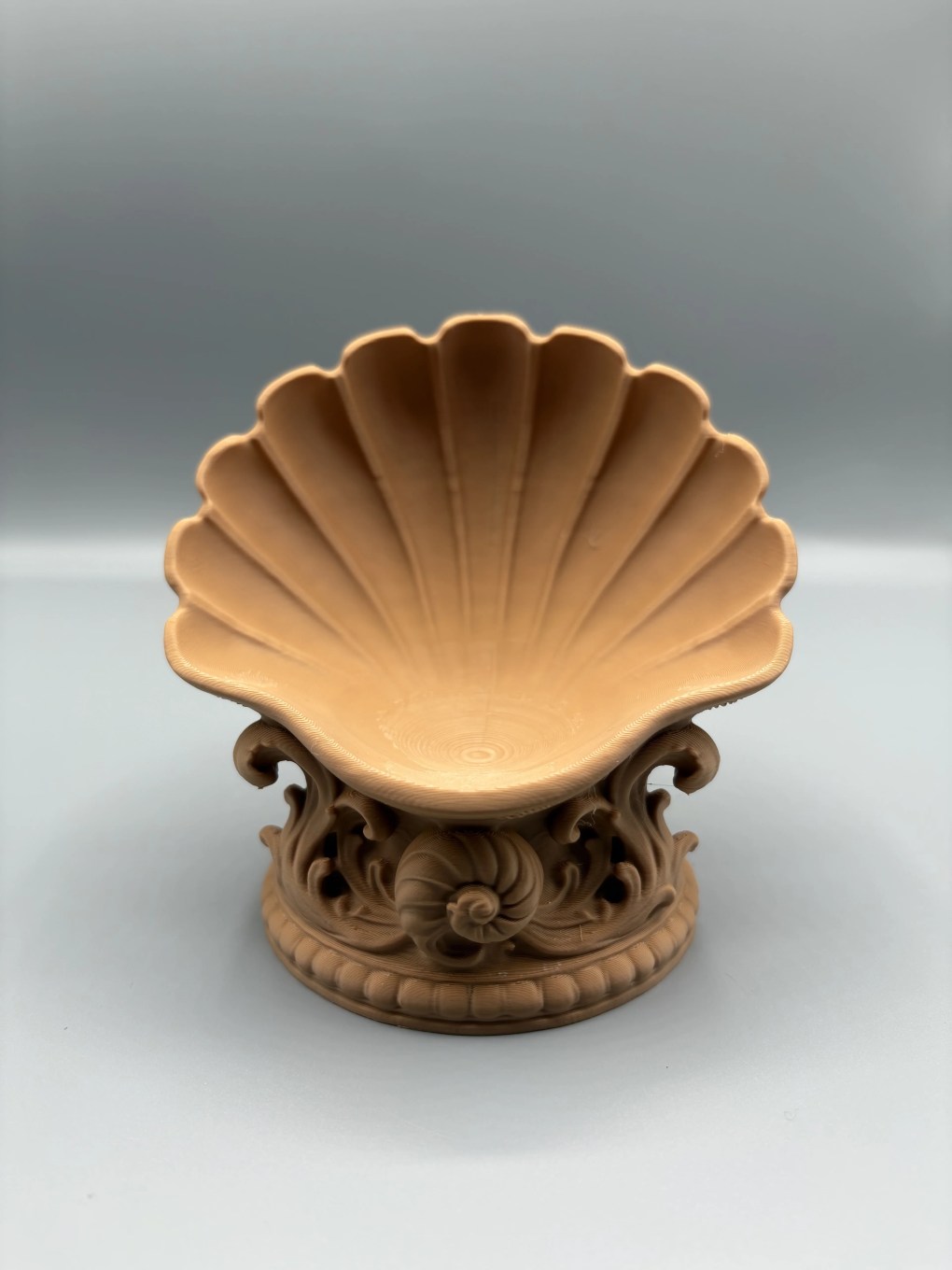 Middelhavsskjellet - Bilde 6