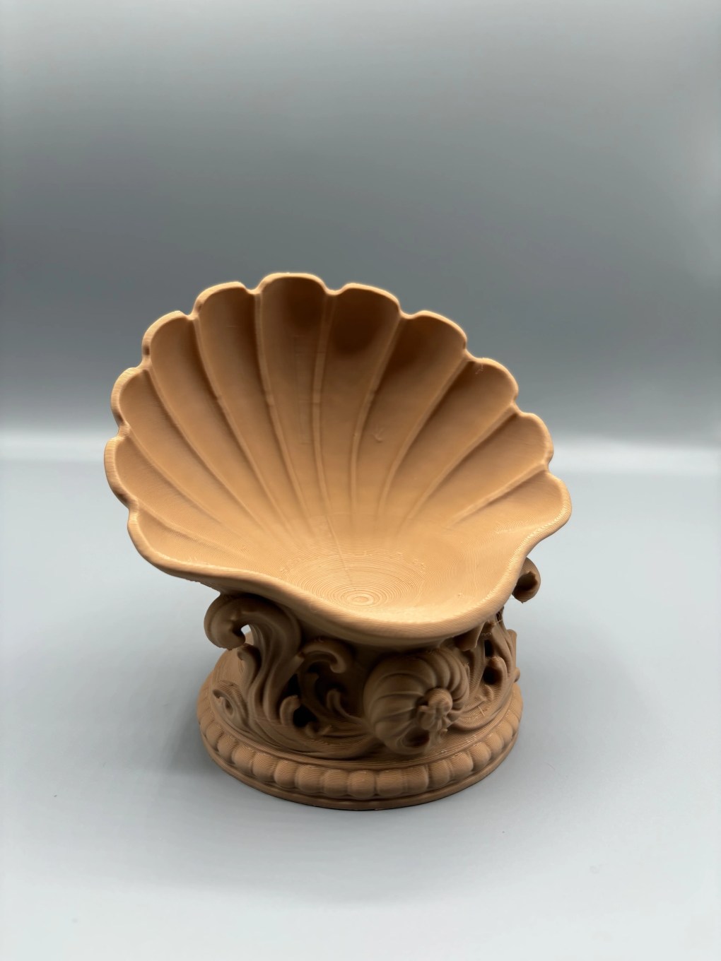 Middelhavsskjellet - Bilde 5