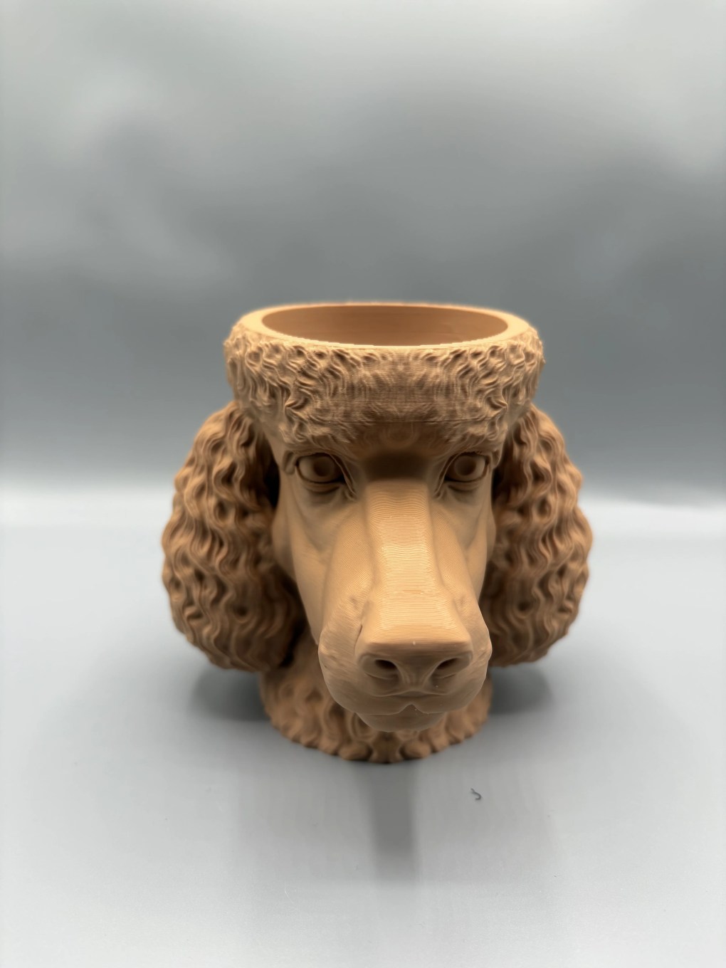 Puddelhodet - Bilde 4