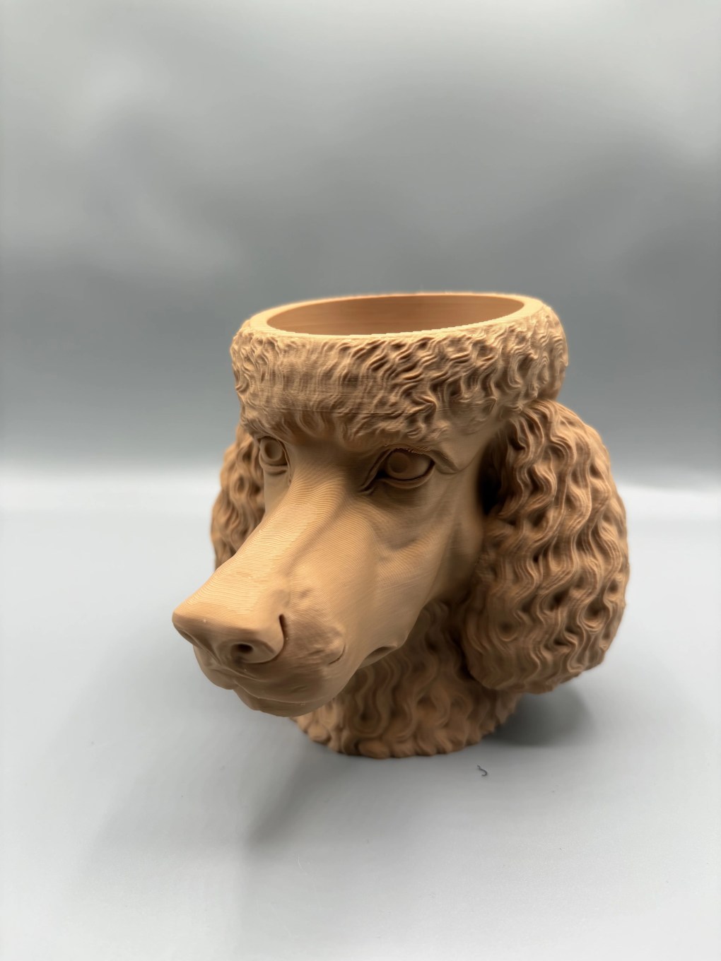 Puddelhodet - Bilde 3